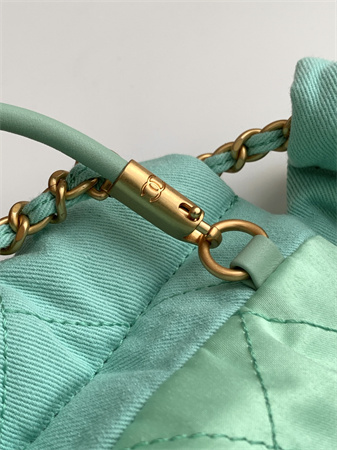 Ch*el 22 mini handbag canvas and gold tone metal green as3980