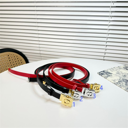 D*or belts in calfskin 17mm gold/silver hardware color options