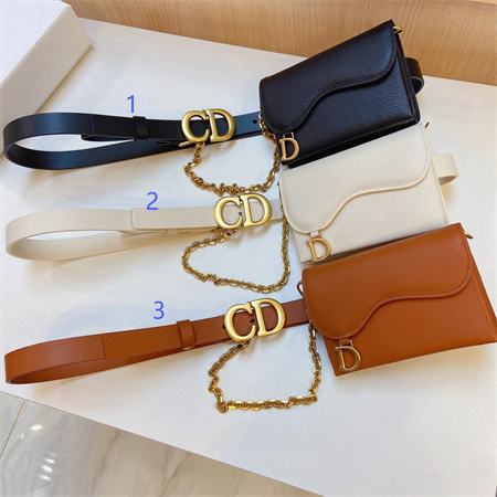 D*or belt with bag in calfskin 20mm gold hardware color options