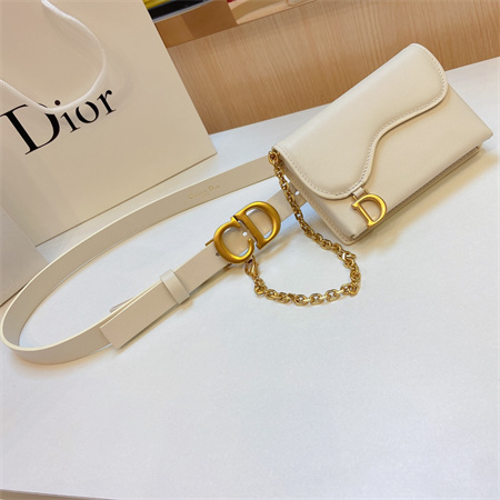 D*or belt with bag in calfskin 20mm gold hardware color options