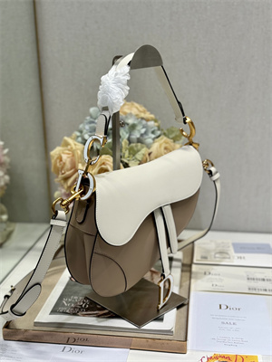 CD Saddle Bag Smooth Calfskin Beige/White