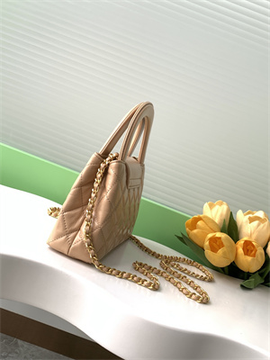 Cha.nel Mini Shopping Bag Kelly Bag Shiny Aged Calfskin Gold-Tone Metal Beige AS4416