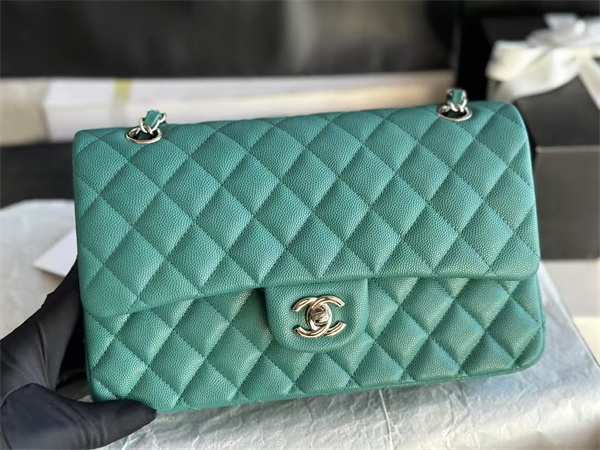 Ch*el medium classic flap bag grained calfskin silver tone metal green 01112