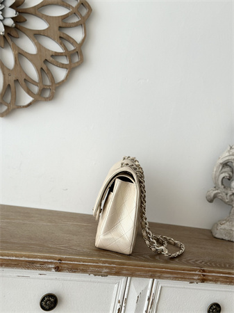 Ch*el medium classic flap bag iridescent grained calfskin gold tone metal lt beige 01112