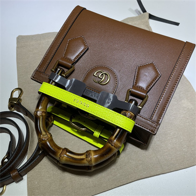 Gu.cci Diana Mini Tote Bag Brown Leather 655661