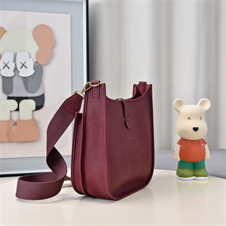 Evelyne III PM  Bag In Burgundy(options)