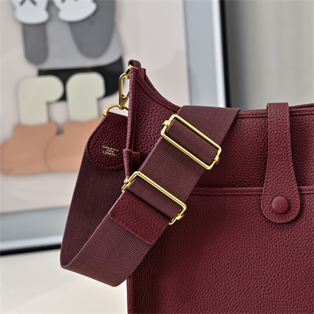 Evelyne III PM  Bag In Burgundy(options)
