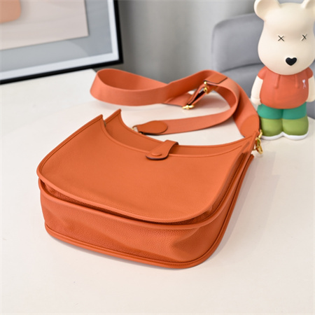 Evelyne III PM  Bag In Orange(options)