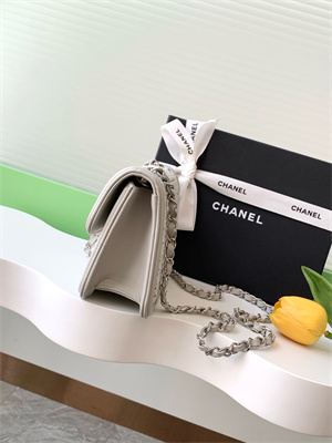 Cha.nel Mini Classic Flap Bag Tweed With Grey Leather Silver Tone Metal AS5243