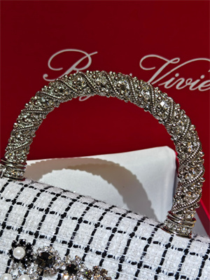 Roger Vivier Jewel Efflorescence Mini Bag In Tweed White/Black