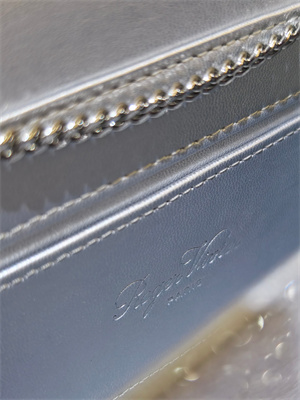 Roger Vivier Jewel Efflorescence Mini Bag in glitter Silver