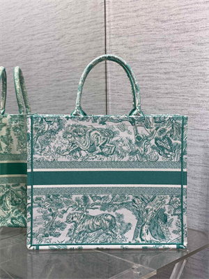 CD Large Book Tote Black Toile de Jouy Embroidery Green