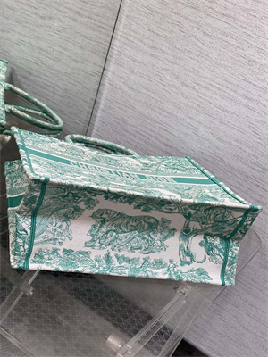 CD Large Book Tote Black Toile de Jouy Embroidery Green