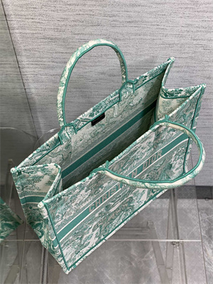 CD Large Book Tote Black Toile de Jouy Embroidery Green