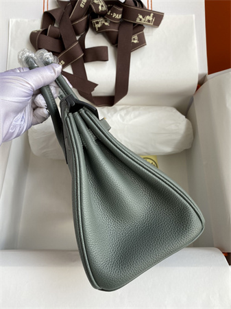 Bir.kin Bag Togo Leather 25/30/35 Gold/Silver Hardware In Vert Amande Color HS