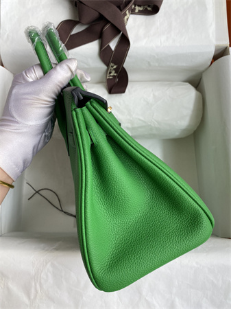 Birkin Bag Togo Leather 25/30/35 Gold/Silver Hardware In Bombou Color HS