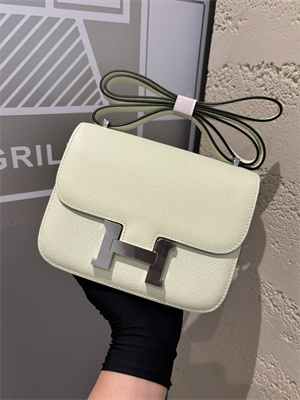 Constance Bag Epsom Leather 18CM Gold/Silver Tone Metal In Vert Fizz Color HS  (With mirror)