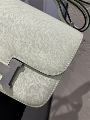 Constance Bag Epsom Leather 18CM Gold/Silver Tone Metal In Vert Fizz Color HS  (With mirror)