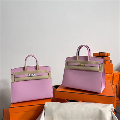 Bir.kin Sellier Bag Epsom Leather 25/30/35CM Gold Hardware In Mauve Sylvestre Color HS
