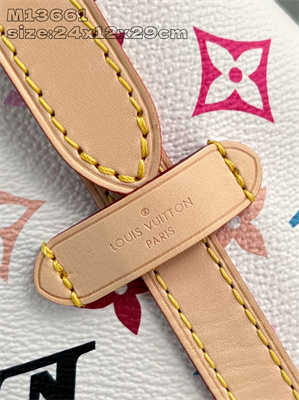 LV x TM CarryAll PM Multicolor Monogram Canvas M13661