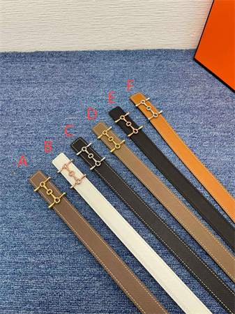 H**mes reversible belt 25mm epsom leather gold/silver tone hardware colors options