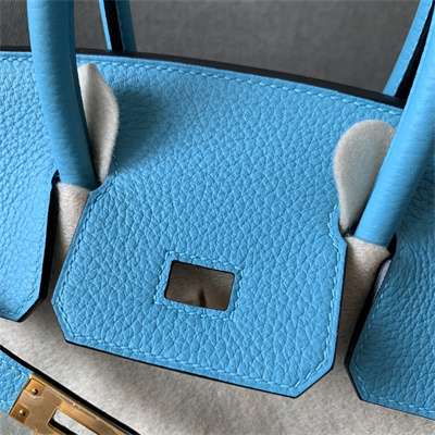 Bir.kin Bag Togo Leather 25/30/35 Gold/Silver Hardware In Blue du Nord Color HS