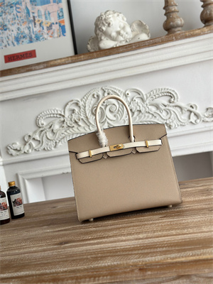 Bir.kin Sellier Bag Epsom Leather 25CM Gold/Silver Hardware In Trench/Craie HS