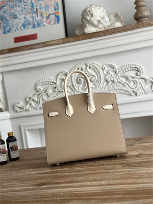 Bir.kin Sellier Bag Epsom Leather 25CM Gold/Silver Hardware In Trench/Craie HS