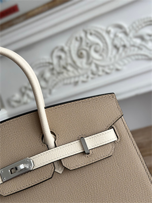 Bir.kin Sellier Bag Epsom Leather 25CM Gold/Silver Hardware In Trench/Craie HS