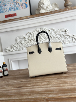 Bir.kin Sellier Bag Epsom Leather 25CM Gold/Silver Hardware In Craie/Black HS