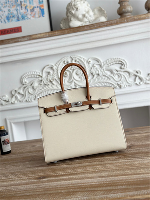 Bir.kin Sellier Bag Epsom Leather 25CM Gold/Silver Hardware In Craie/Gold HS