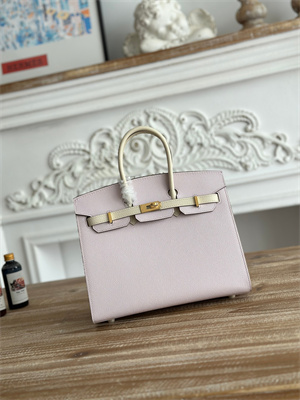 Bir.kin Sellier Bag Epsom Leather 25CM Gold/Silver Hardware In Mauve Pale/Craie HS