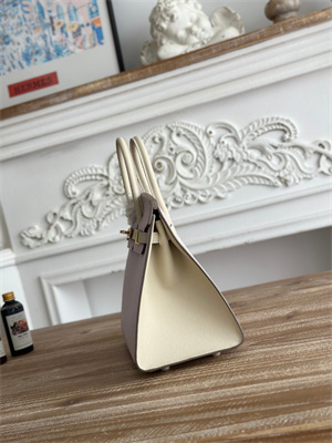 Bir.kin Sellier Bag Epsom Leather 25CM Gold/Silver Hardware In Mauve Pale/Craie HS