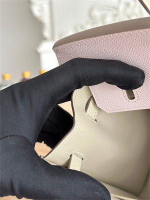 Bir.kin Sellier Bag Epsom Leather 25CM Gold/Silver Hardware In Mauve Pale/Craie HS