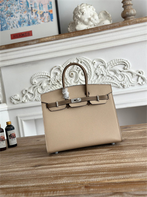 Bir.kin Sellier Bag Epsom Leather 25CM Gold/Silver Hardware In Trench/Etoupe HS