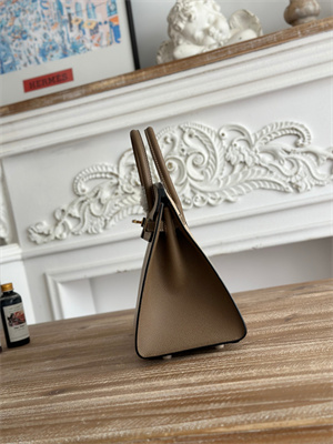 Bir.kin Sellier Bag Epsom Leather 25CM Gold/Silver Hardware In Trench/Etoupe HS