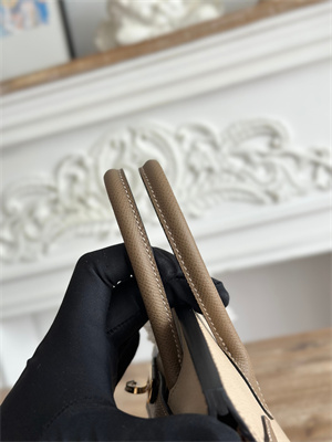 Bir.kin Sellier Bag Epsom Leather 25CM Gold/Silver Hardware In Trench/Etoupe HS