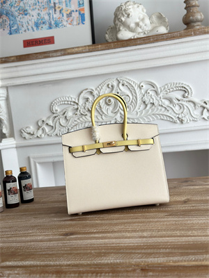Bir.kin Sellier Bag Epsom Leather 25CM Gold/Silver Hardware In Craie/Jaune Poussin HS