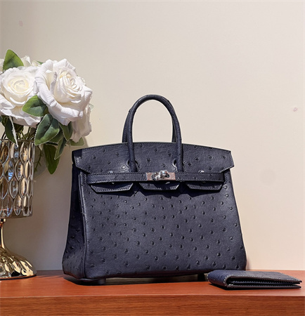 Bir.kin Bag Ostrich Leather 25 Gold/Silver Hardware In Navy HS