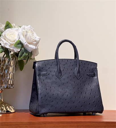 Bir.kin Bag Ostrich Leather 25 Gold/Silver Hardware In Navy HS