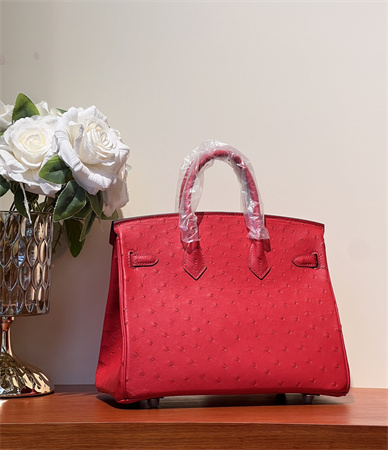 Bir.kin Bag Ostrich Leather 25 Gold/Silver Hardware In Red HS
