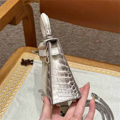 Kelly Mini II Himalayan Bag Niloticus Silver Tone Hardware HS