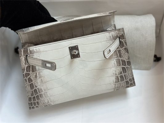 Kelly Pochette Himalayan Bag Niloticus Silver Tone Hardware HS