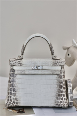 Kelly Retourne Bag 25 Himalayan Niloticus Silver Hardware HS