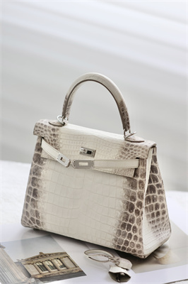 Kelly Retourne Bag 25 Himalayan Niloticus Silver Hardware HS