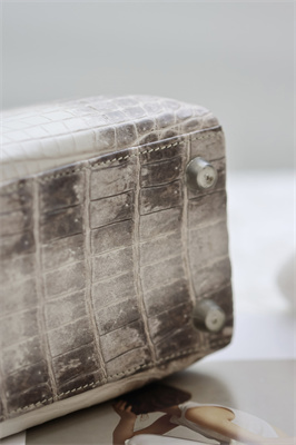 Kelly Retourne Bag 25 Himalayan Niloticus Silver Hardware HS