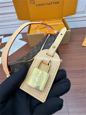 L.V Slouchy PM Monogram Coated Canvas M11952 TOP