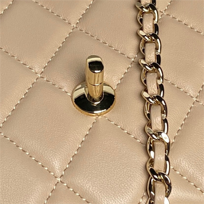 Ch*el flap phone holder with chain lambskin gold-tone metal beige ap4592