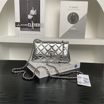 Ch*el flap phone holder with chain lambskin sivler-tone metal silver ap4592
