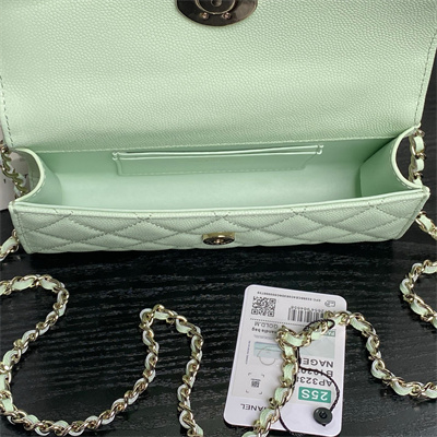 Cha.nel Clutch With Chain Top Handle Grained Calfskin Gold Tone Metal Lt Green AP3238
